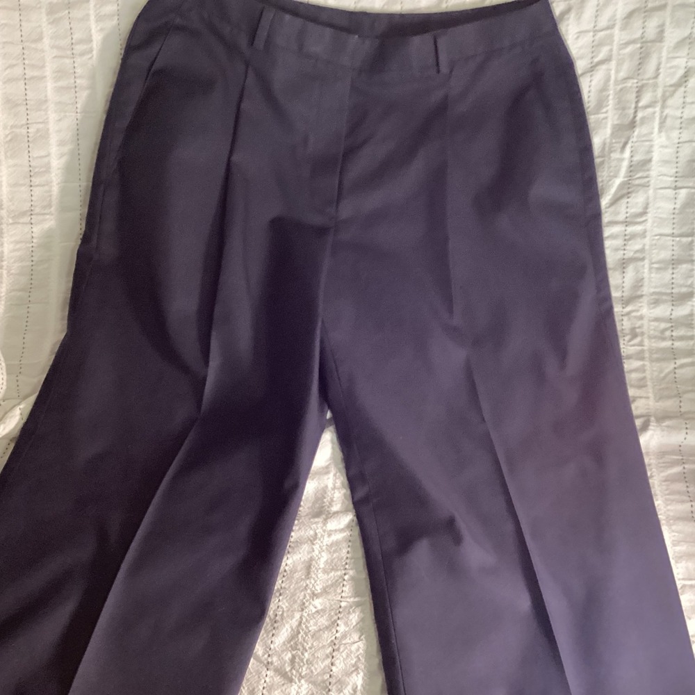 Brooks Brothers 346 Advantage Navy Blue Pleated Wide Leg Cotton Chinos Pants 10 - Picture 2 of 8